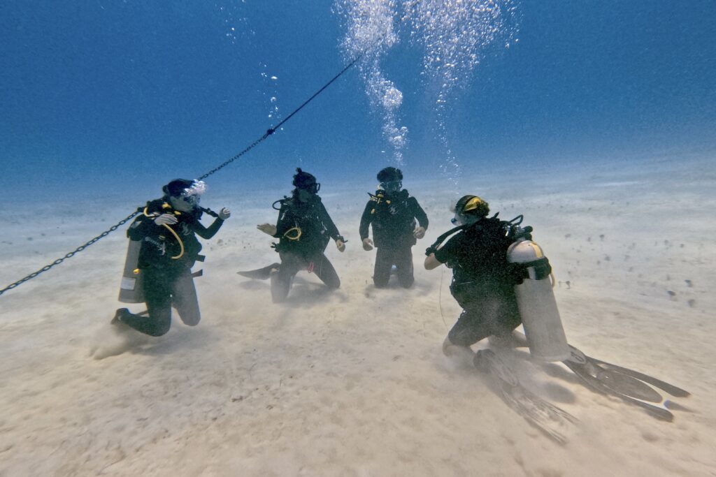 Dive Master Playa del Carmen