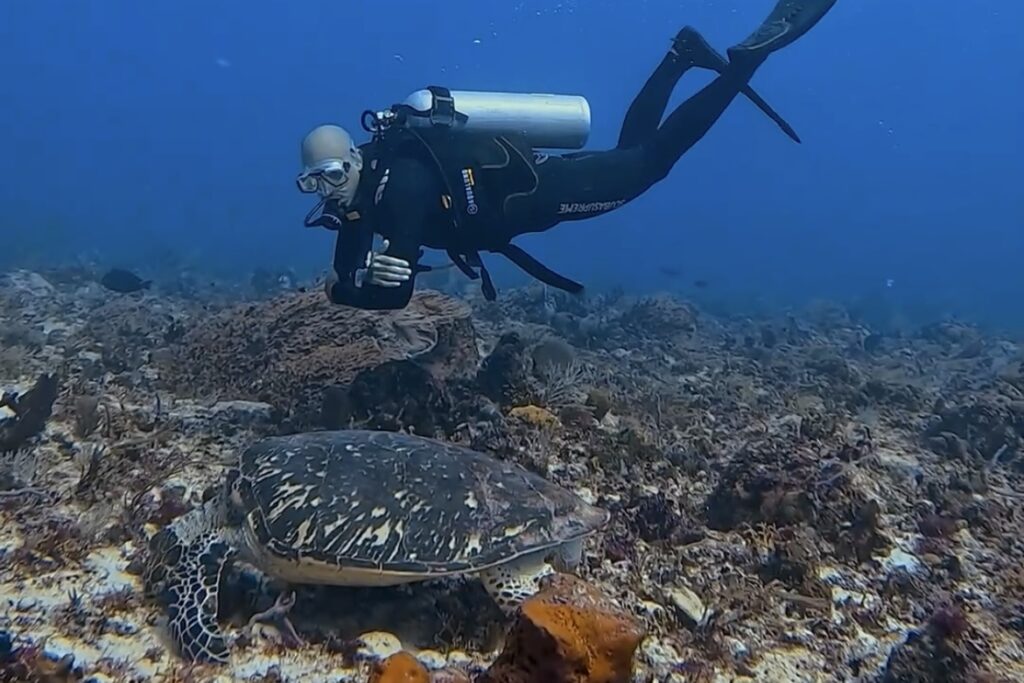 Scuba Diving Cozumel
