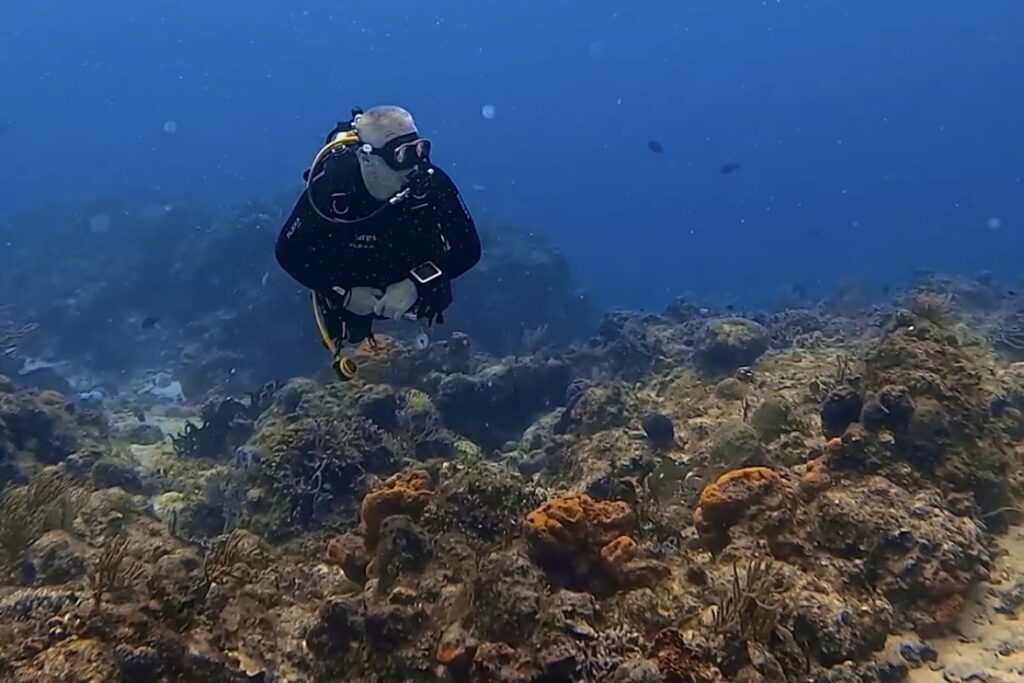 Scuba Diving Cozumel