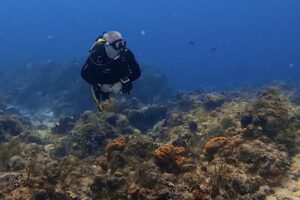 Scuba Diving Cozumel
