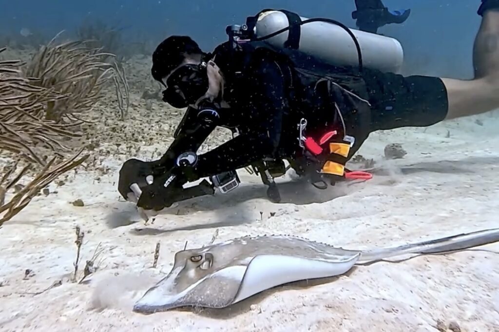 Diving Playa del Carmen