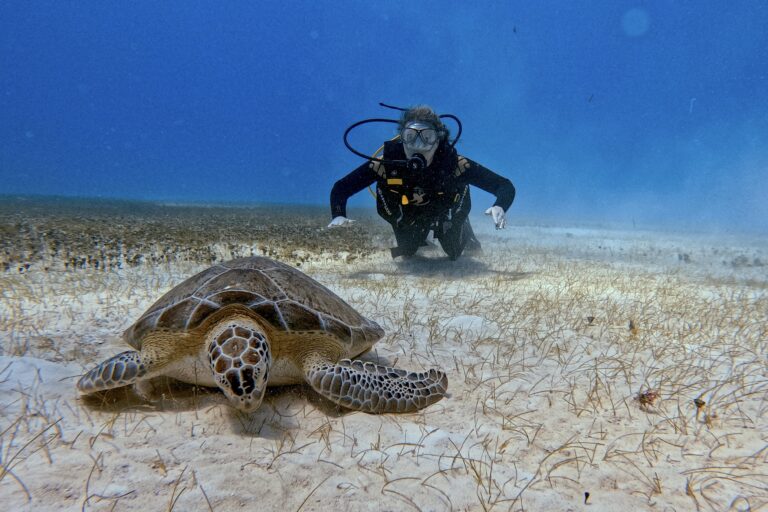 Scuba Diving Riviera Maya