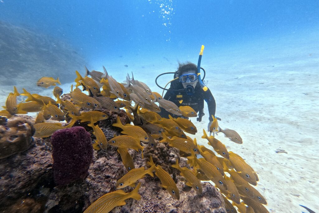 Diving Playa del Carmen
