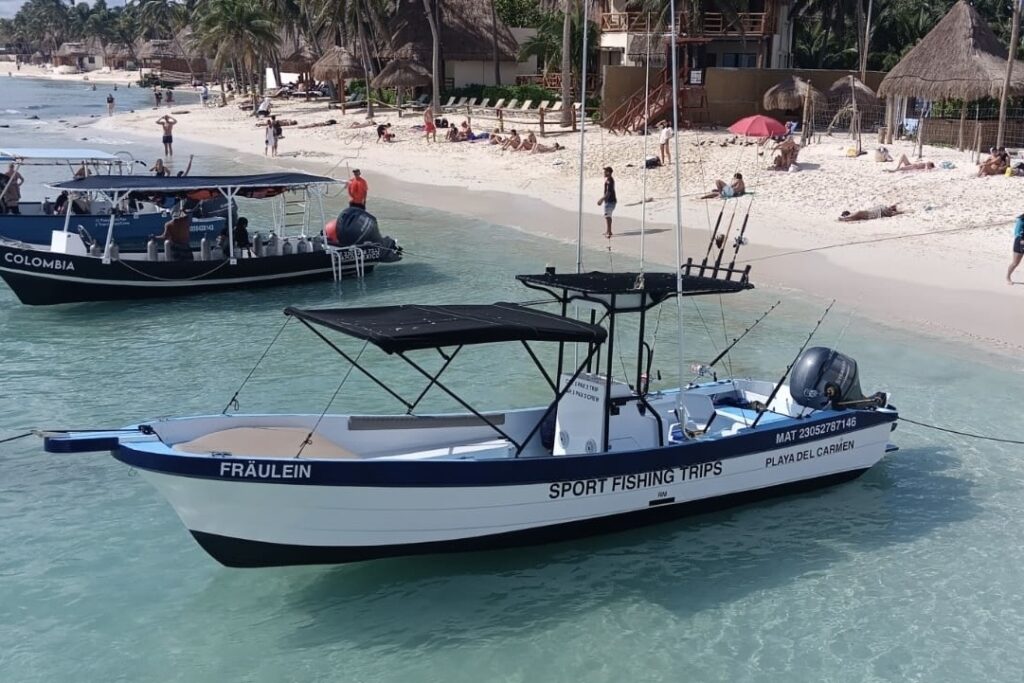 Dive Boats