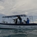 Dive Boats