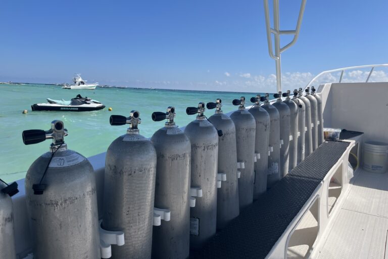 Dive Boats