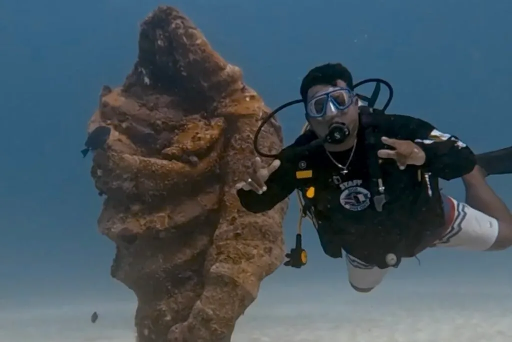 Open Water Kurssi Playa del Carmen