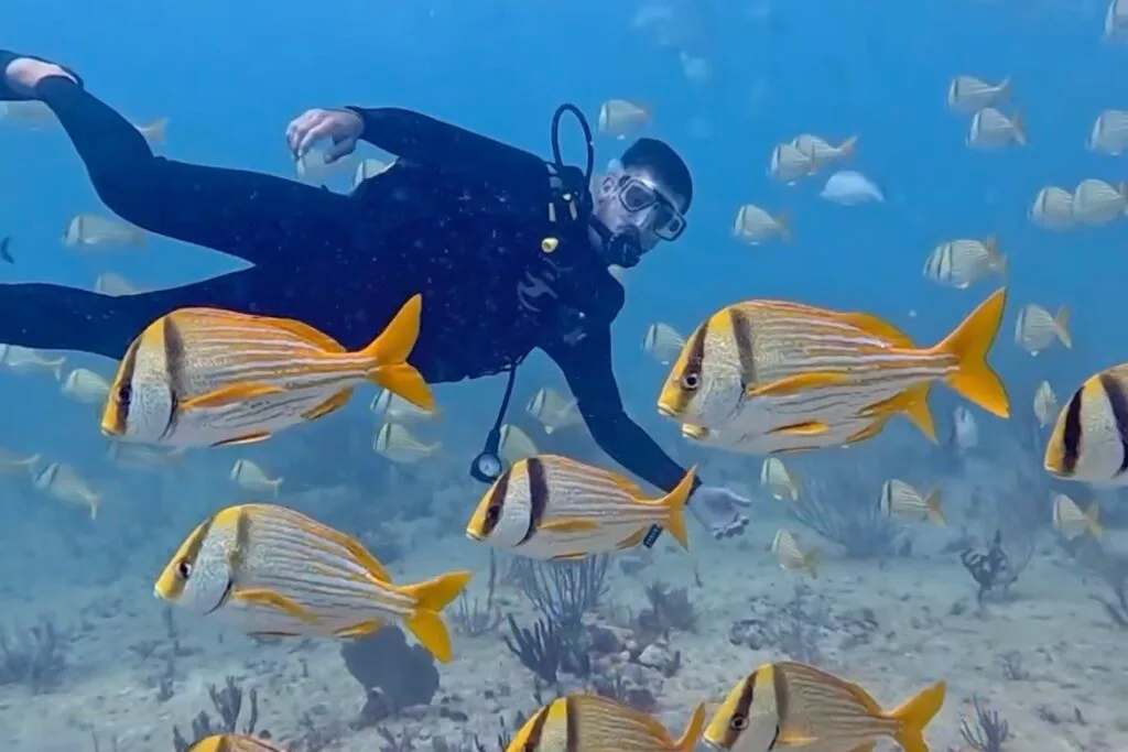 Open Water Kurssi Playa del Carmen