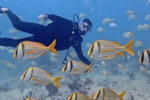 Open Water Course Playa del Carmen