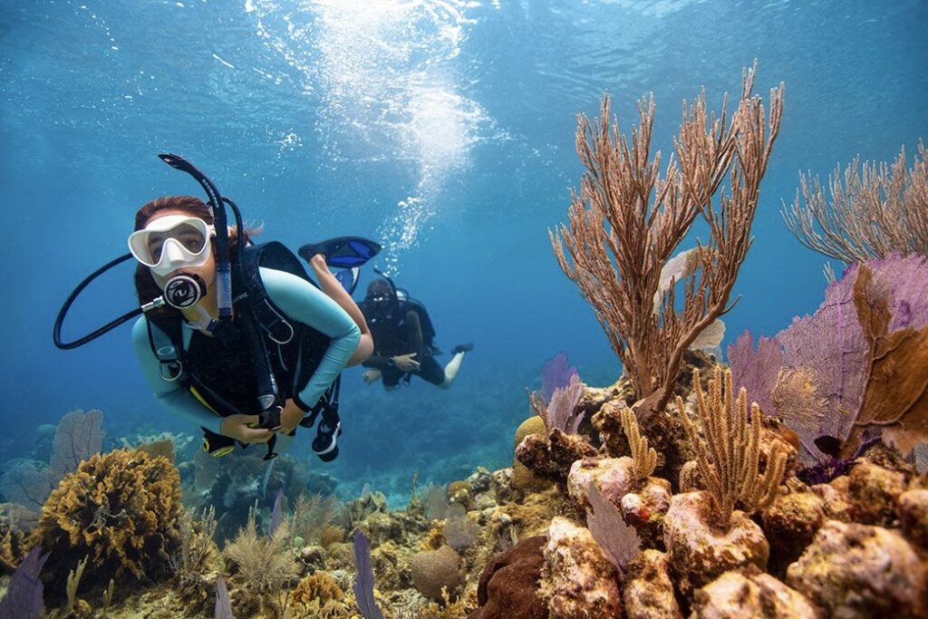 Open-Water-Course