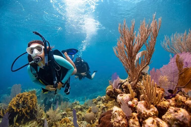 PADI Open Water Course