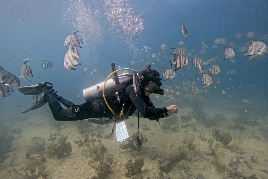 Peak Performance Buoyancy