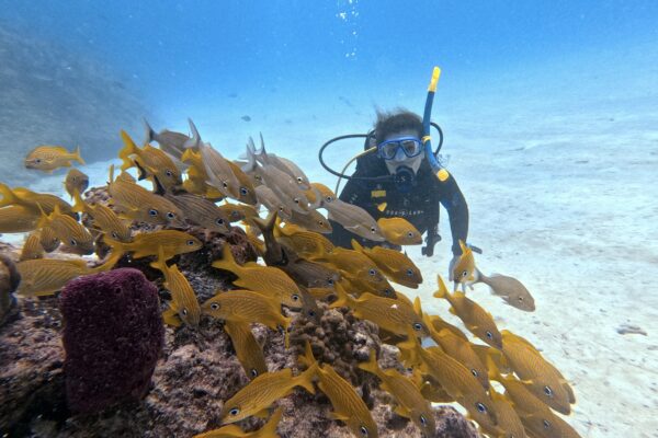 Diving Playa del Carmen