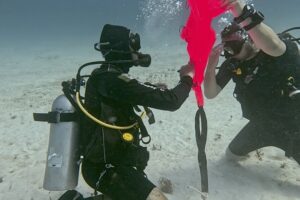 Search and Recovery