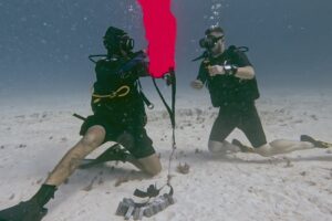 Search and Recovery