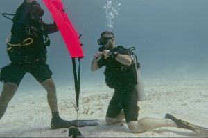 Search and Recovery
