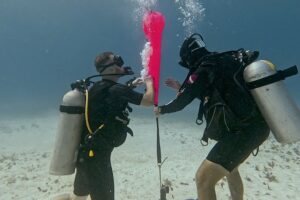 Search and Recovery
