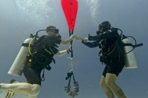 Search and Recovery