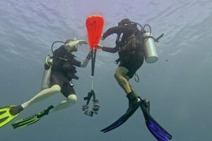 Search and Recovery