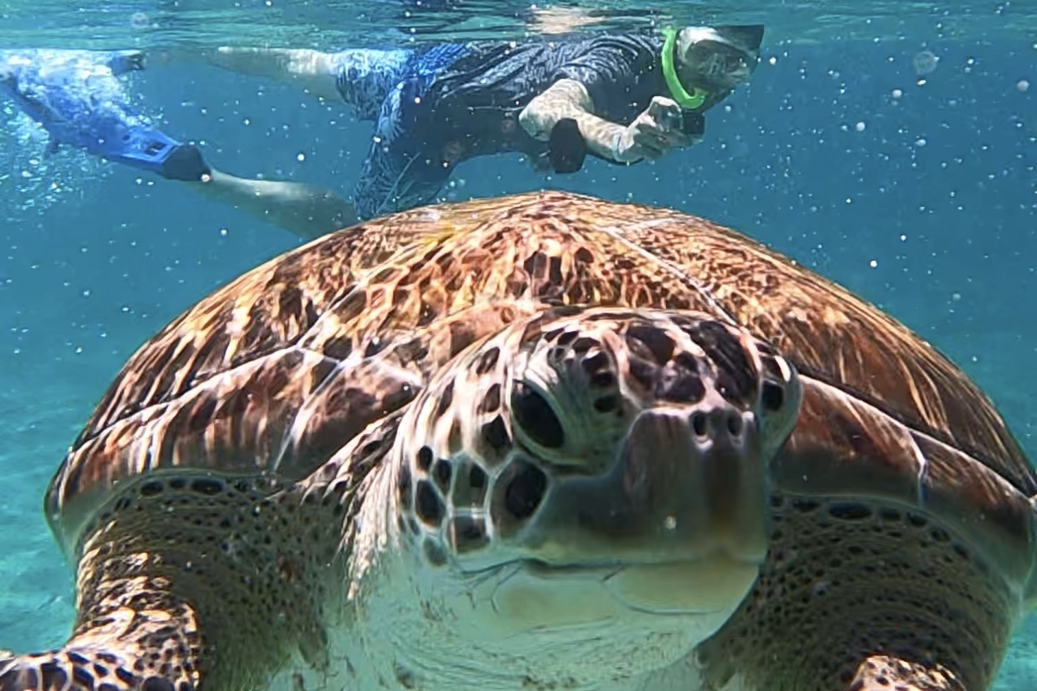 Snorkeling Playa del Carmen