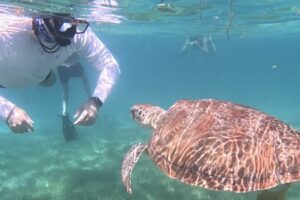 Snorkeling Playa del Carmen