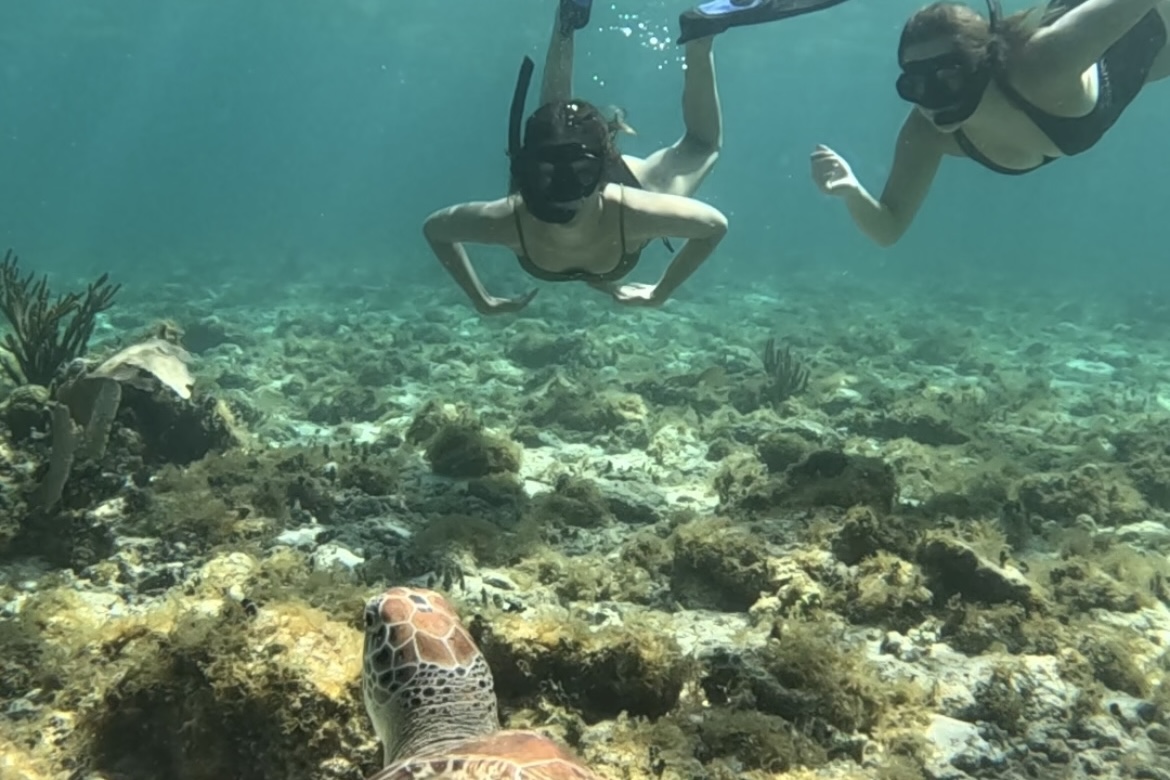 Snorkeling Playa del Carmen