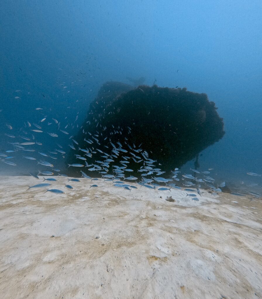 Wreck Diving Playa del Carmen