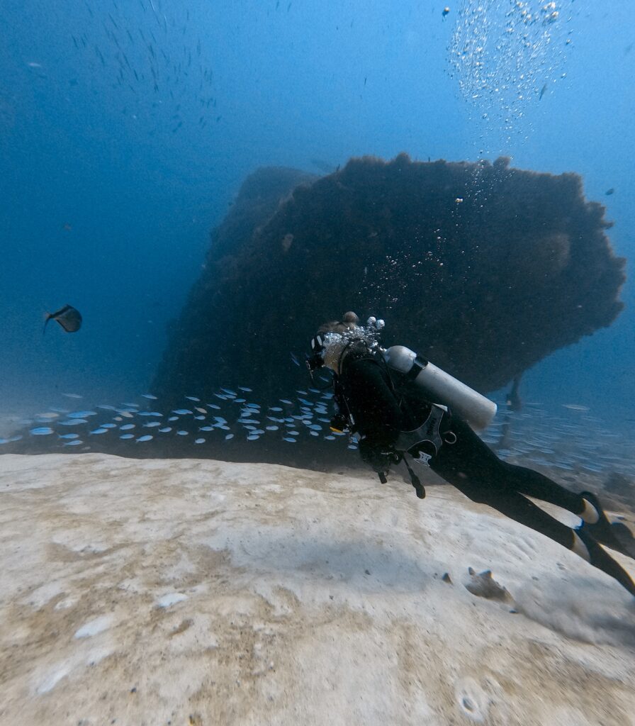 Playa del Carmen 沉船潛水