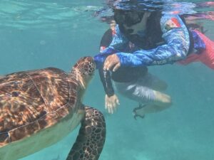 Snorkel Tour Playa del Carmen