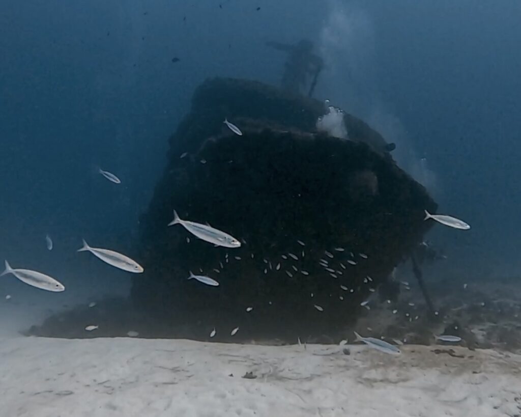 Scuba Diving Playa del Carmen