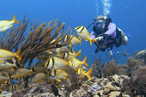 Diving Playa del Carmen