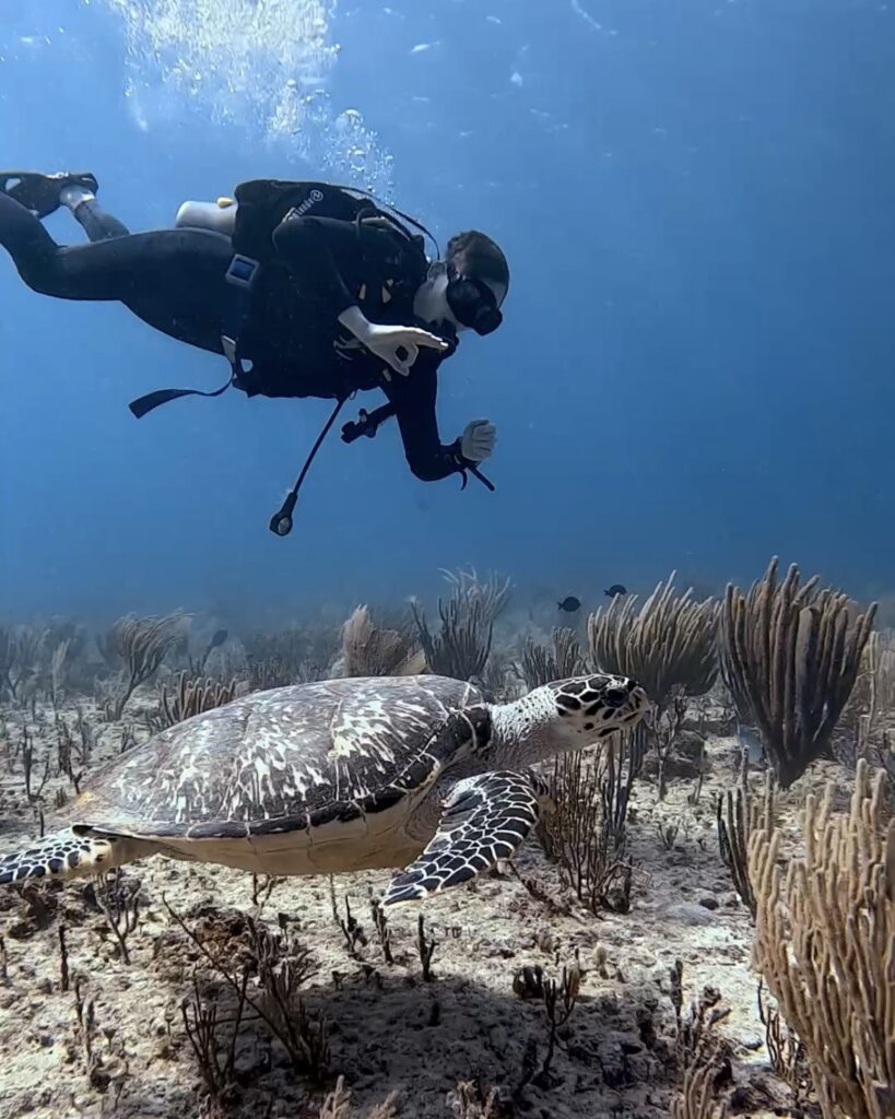 Diving Playa del Carmen