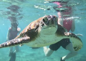 Snorkel Playa del Carmen