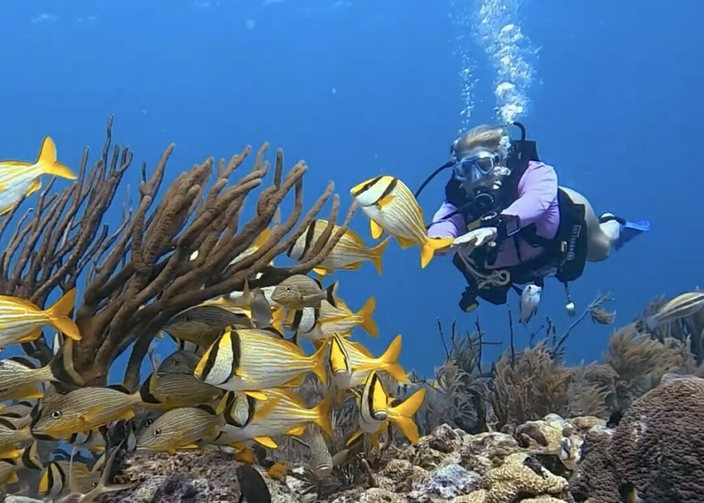 Scuba Diving Playa del Carmen