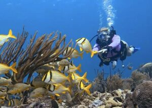 Scuba Diving Playa del Carmen