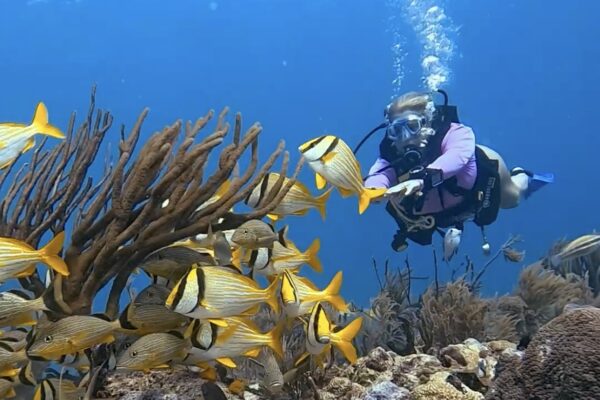 Scuba Diving Playa del Carmen