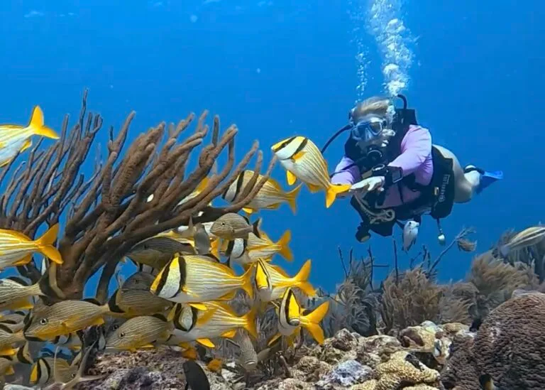 Multi-Day Dive Packages