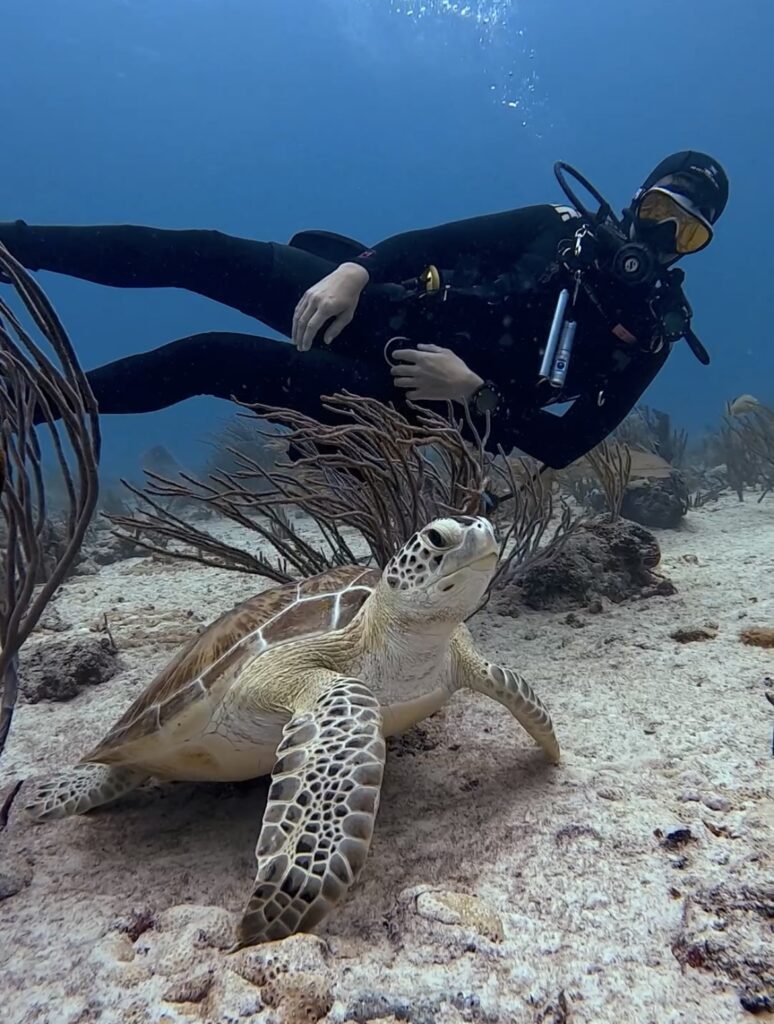 Scuba Diving Playa del Carmen