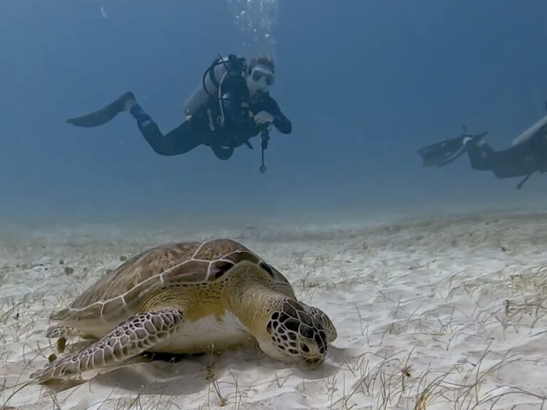 Playa del Carmen Vacation