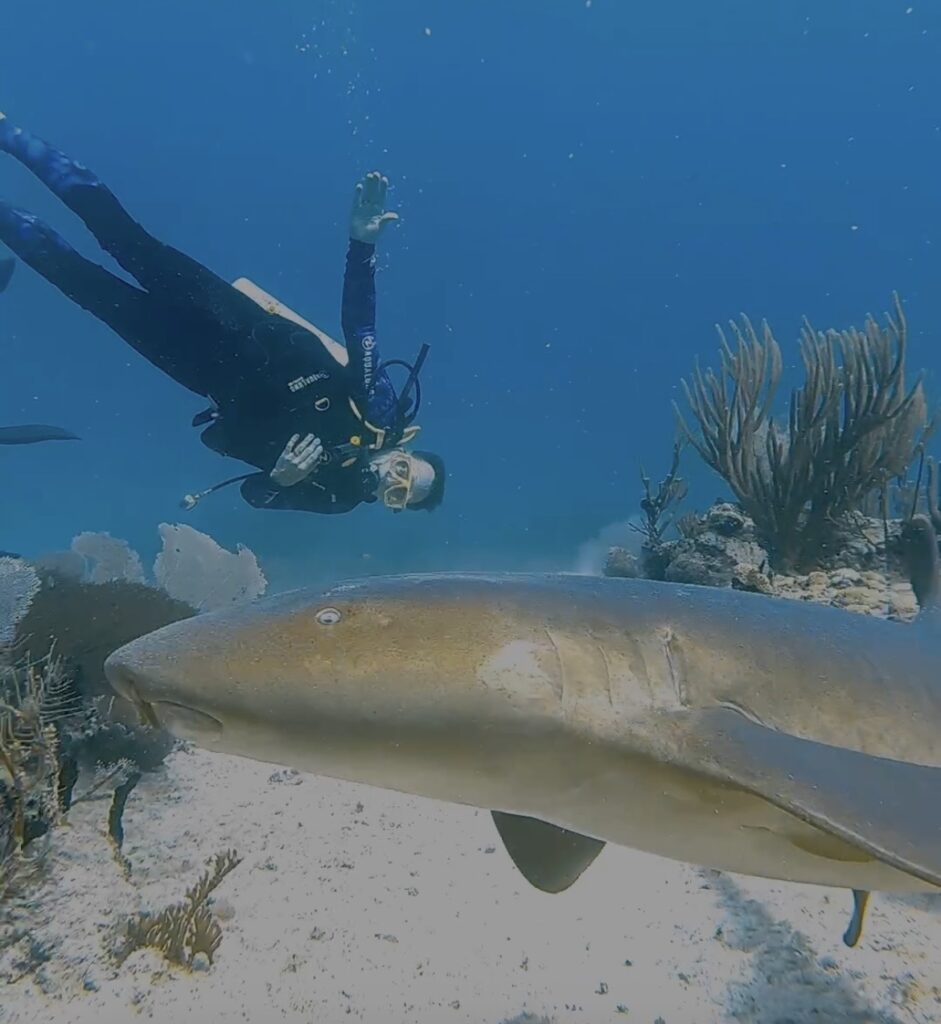 Diving Playa del Carmen