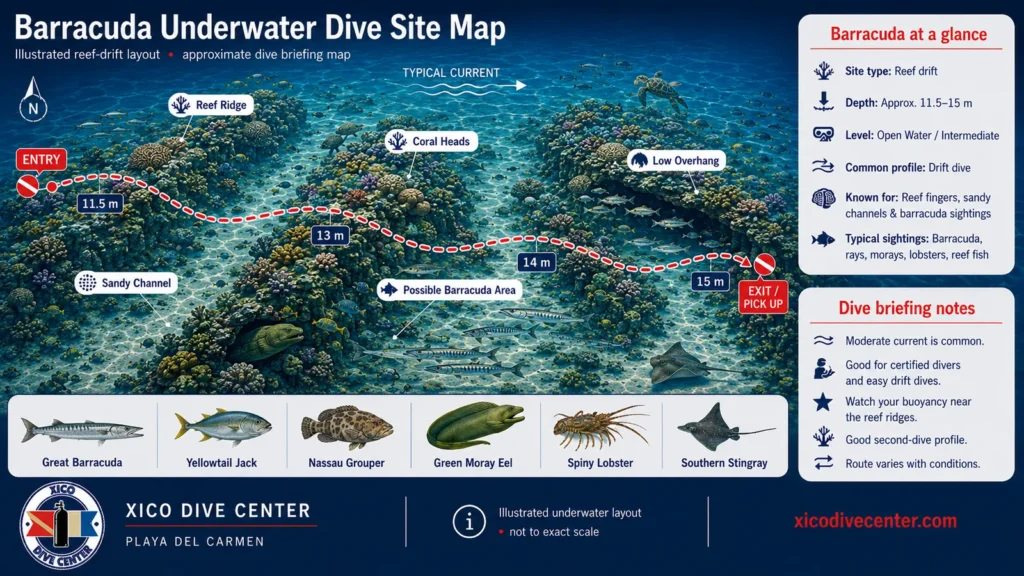Barracuda underwater dive site map in Playa del Carmen showing reef ridges, sandy channels, barracuda area, drift route and marine life
