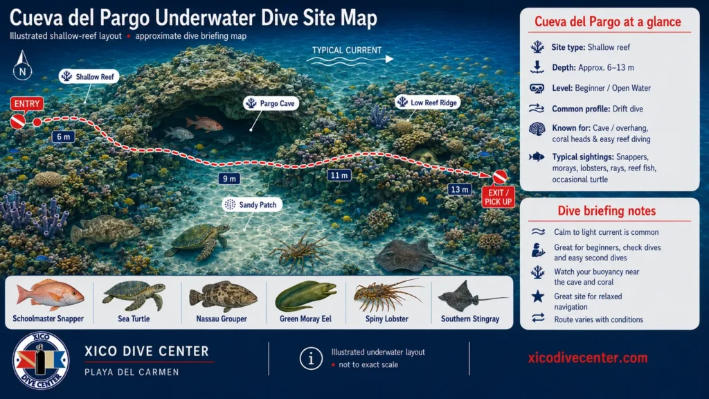 Cueva del Pargo underwater dive site map in Playa del Carmen showing shallow reef, cave overhang, sandy patch, drift route and marine life