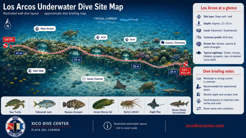Los Arcos underwater dive site map in Playa del Carmen showing arches, swim-throughs, reef wall, drift route, depth markers and marine life