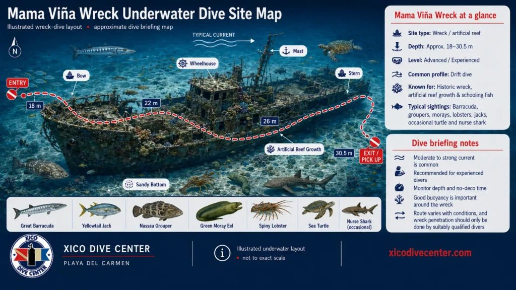 Mama Viña Wreck underwater dive site map in Playa del Carmen showing wreck layout, bow, stern, wheelhouse, dive route, depth markers and marine life
