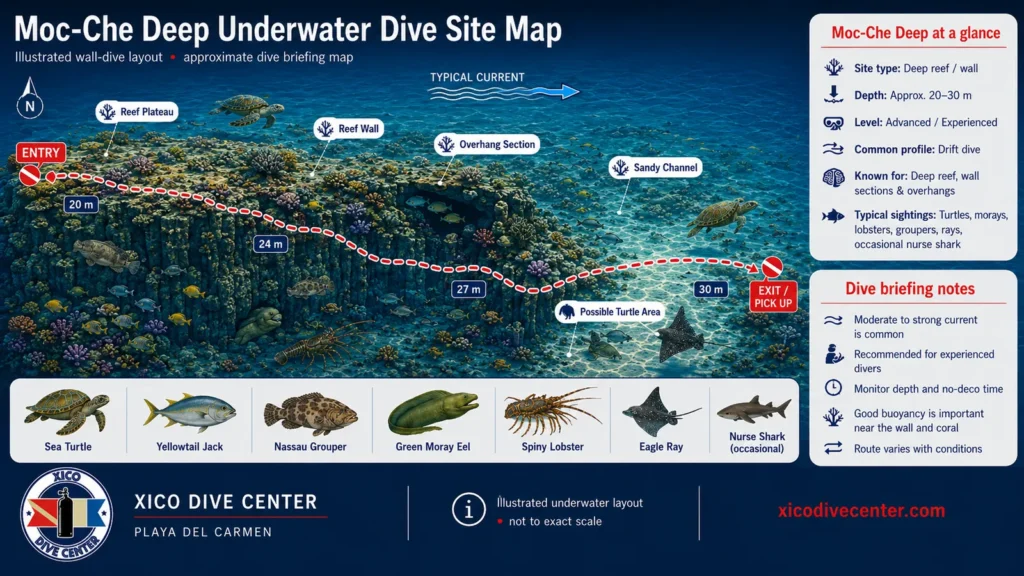 Moc-Che Deep underwater dive site map in Playa del Carmen showing deep reef wall, overhang section, sandy channel, drift route and marine life