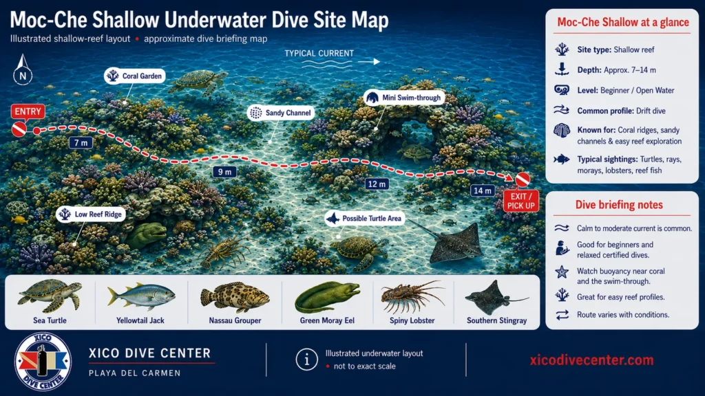 Moc-Che Shallow underwater dive site map in Playa del Carmen showing shallow reef, sandy channels, coral ridges, mini swim-through and marine life