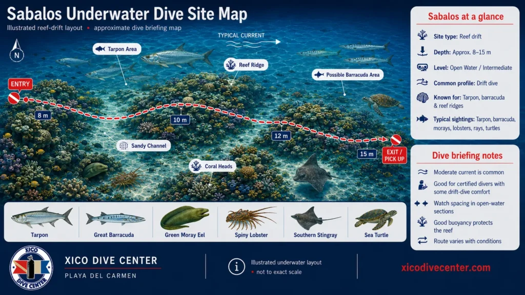 Sabalos underwater dive site map in Playa del Carmen showing reef drift route, tarpon area, sandy channel, barracuda area and marine life