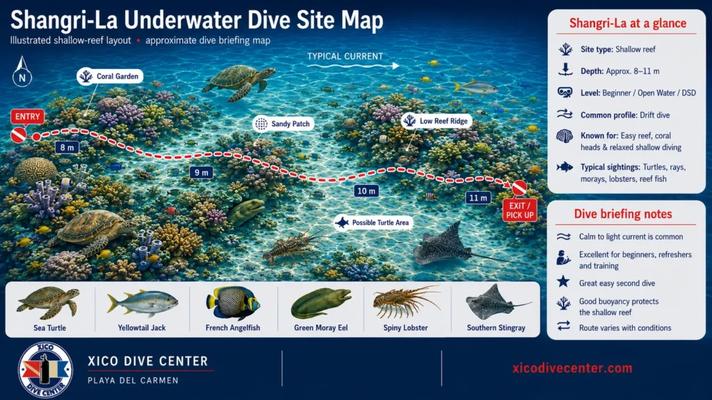 Shangri-La underwater dive site map in Playa del Carmen showing shallow reef, coral heads, easy drift route, depth markers and marine life